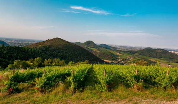 casa indipendente in vendita a Teolo