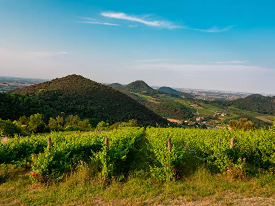 casa indipendente in vendita a Teolo