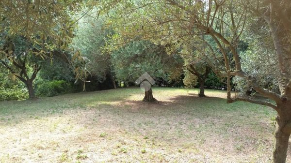 terreno edificabile in vendita a Teolo in zona Villa