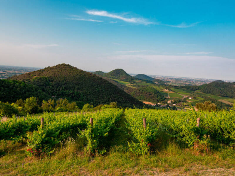 terreno agricolo in vendita a Teolo
