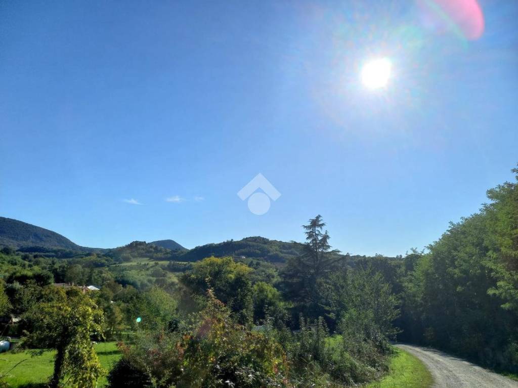 terreno agricolo in vendita a Teolo in zona Villa