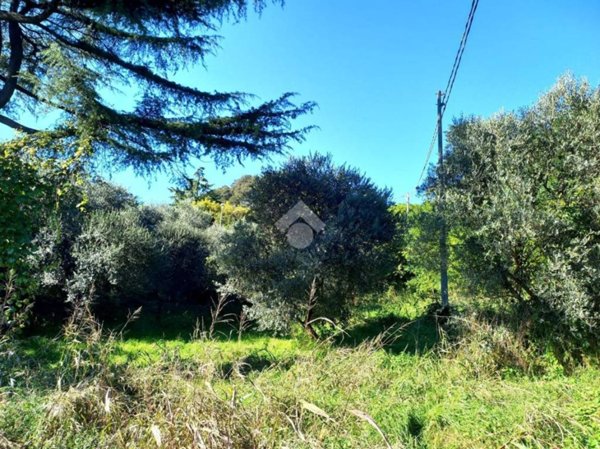 terreno agricolo in vendita a Teolo in zona Villa