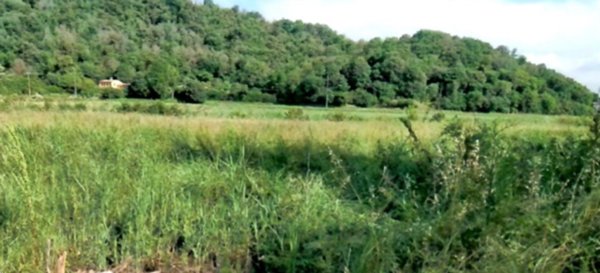 terreno edificabile in vendita a Teolo in zona Tramonte