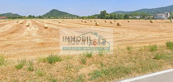 terreno agricolo in vendita a Teolo