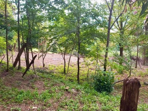 terreno agricolo in vendita a Teolo in zona Tramonte