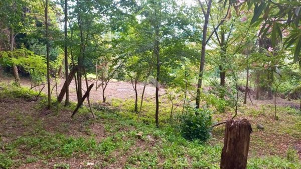 terreno agricolo in vendita a Teolo in zona Tramonte