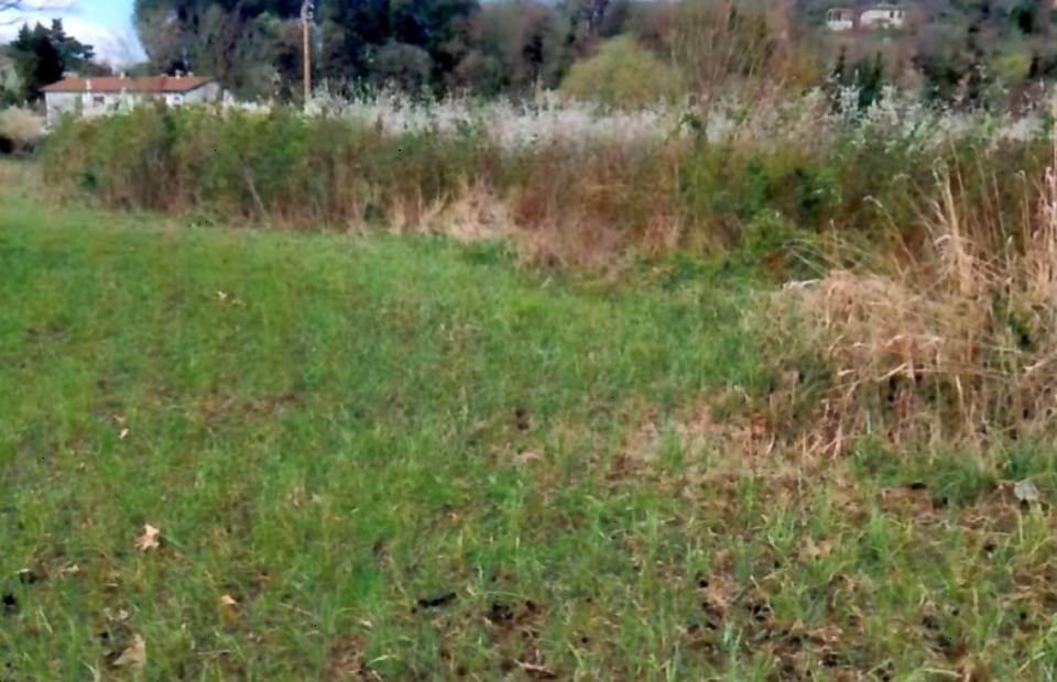terreno in vendita a Teolo in zona Tramonte