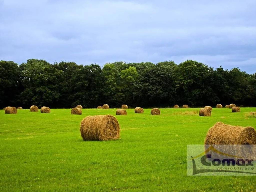 terreno agricolo in vendita a Teolo in zona Treponti