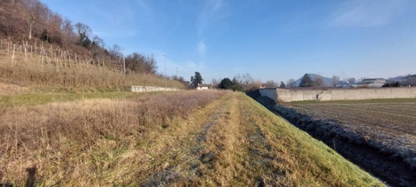 terreno agricolo in vendita a Teolo in zona Villa