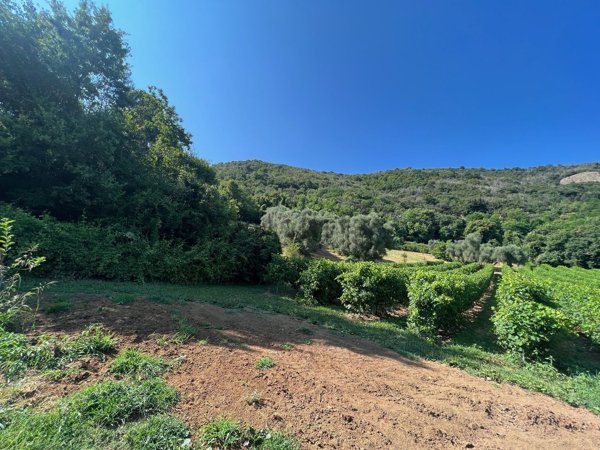 casale in vendita a Teolo in zona Villa