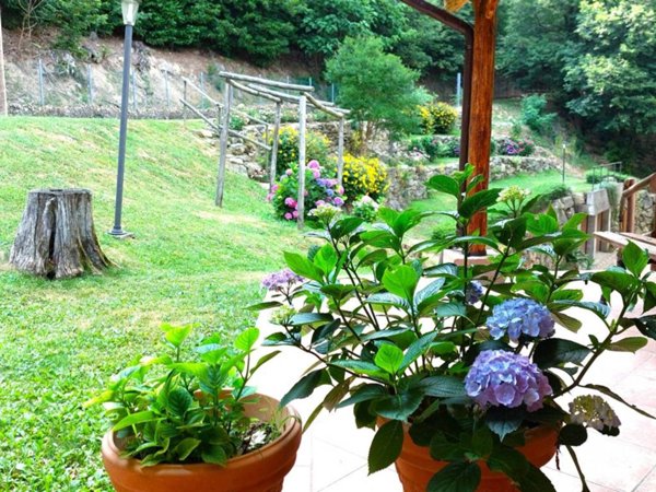 casa indipendente in vendita a Teolo in zona Villa
