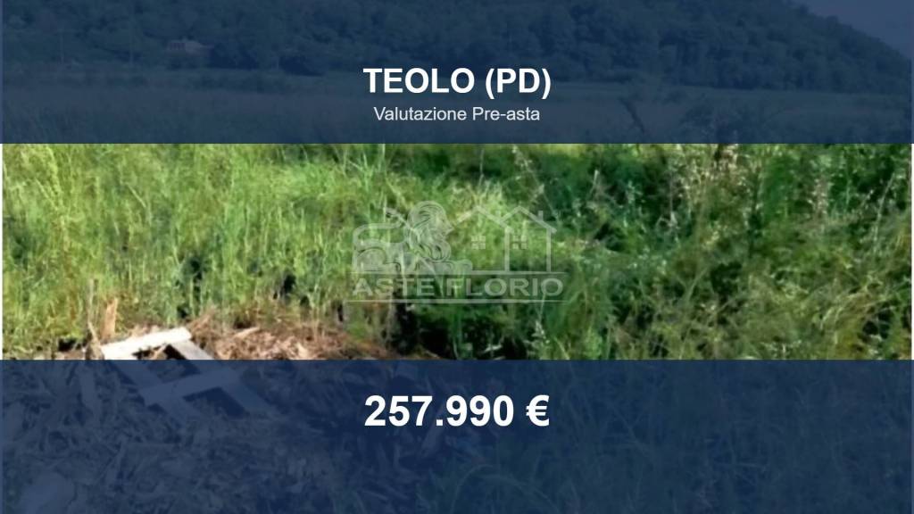 terreno in vendita a Teolo in zona Tramonte