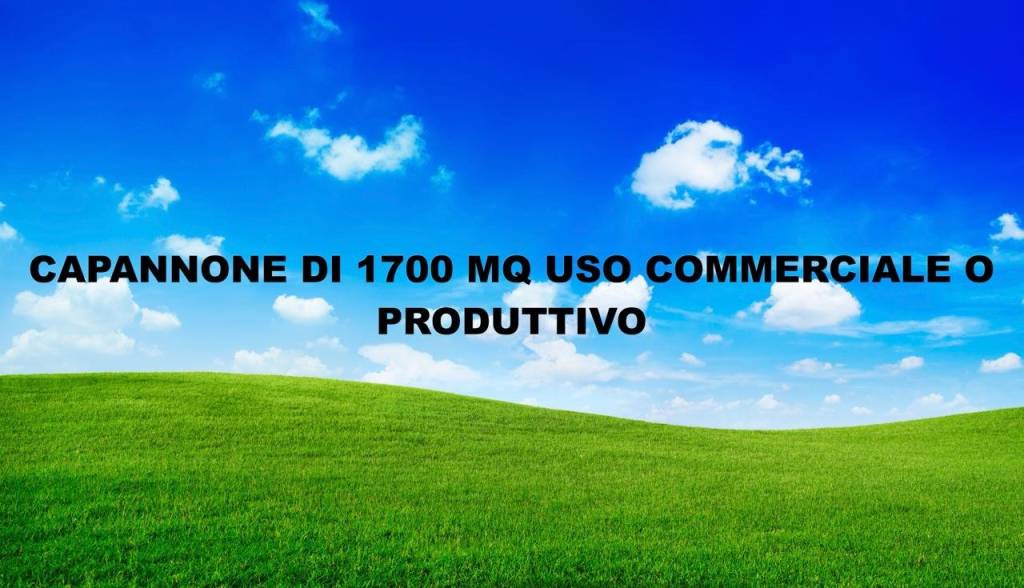 locale commerciale in vendita a Terrassa Padovana