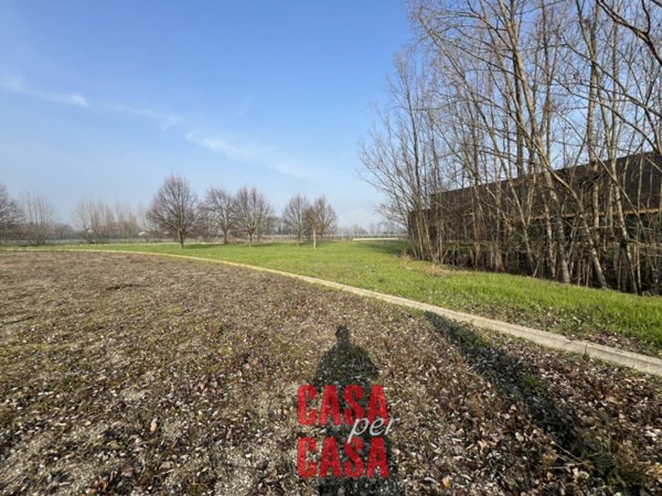 locale commerciale in vendita a Terrassa Padovana