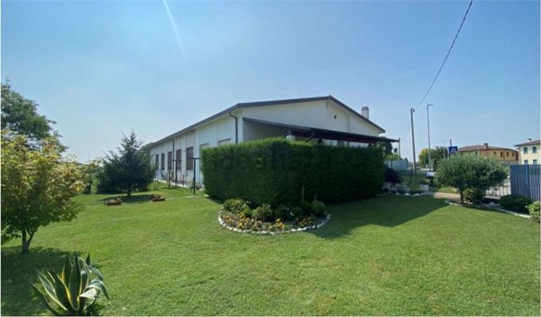 appartamento in vendita a Terrassa Padovana