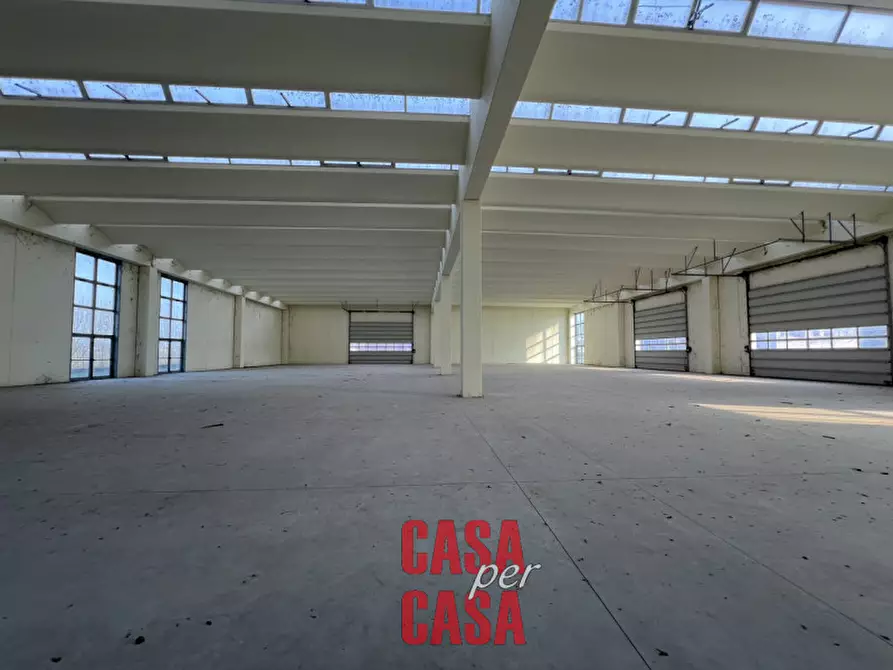 attico in vendita a Terrassa Padovana