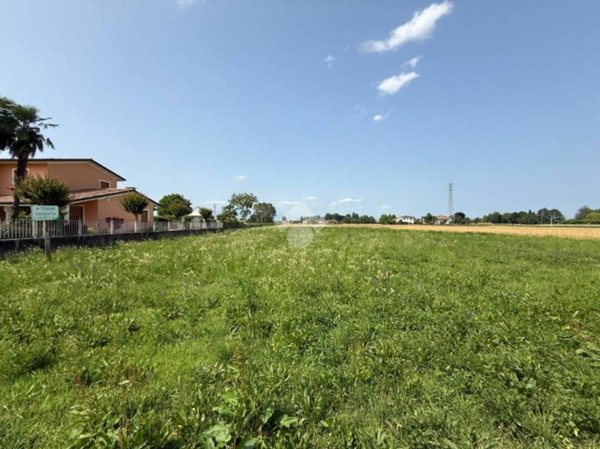 terreno agricolo in vendita a Tombolo in zona Onara
