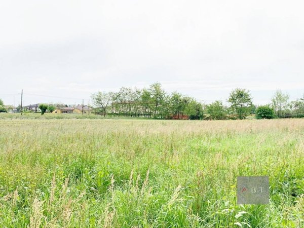 terreno agricolo in vendita a Tombolo in zona Onara