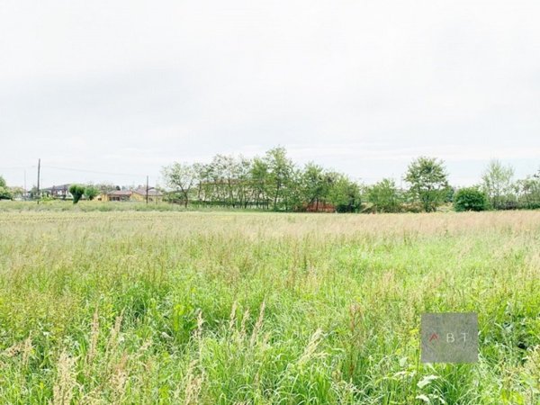 terreno agricolo in vendita a Tombolo in zona Onara