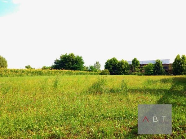 terreno agricolo in vendita a Tombolo in zona Onara
