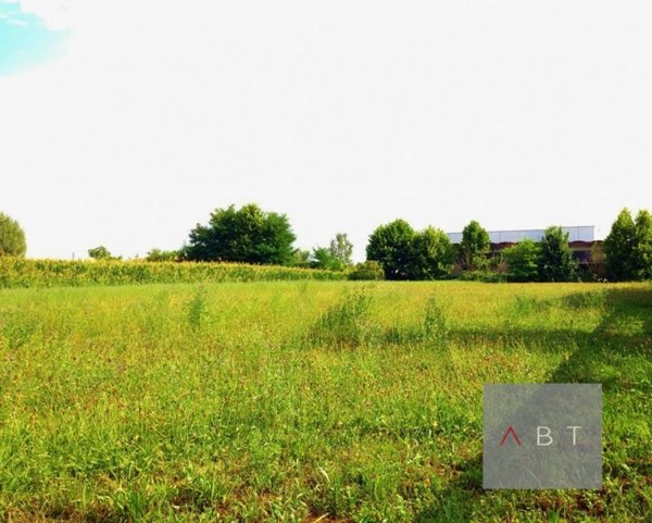 terreno agricolo in vendita a Tombolo in zona Onara