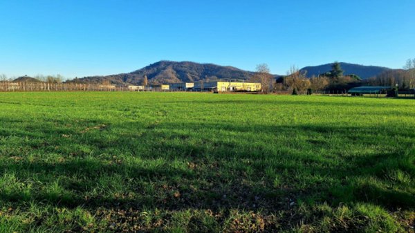 azienda agricola in vendita a Torreglia