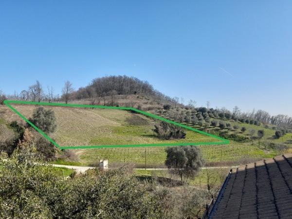 casale in vendita a Torreglia