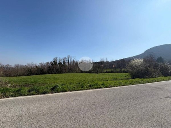 terreno agricolo in vendita a Torreglia