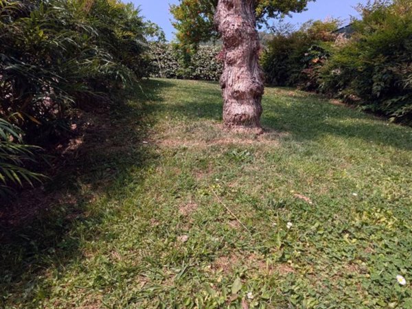 casa indipendente in vendita a Torreglia