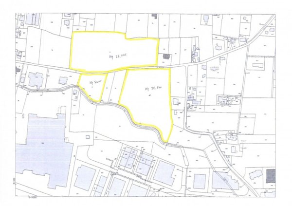 azienda agricola in vendita a Torreglia