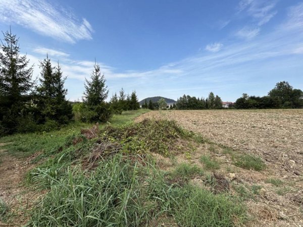 terreno agricolo in vendita a Torreglia