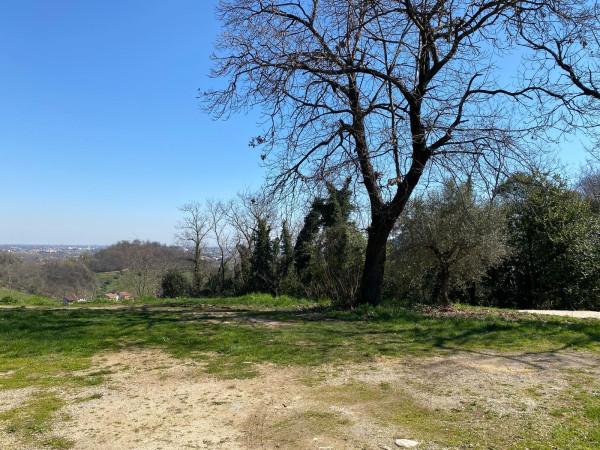 negozio in vendita a Torreglia