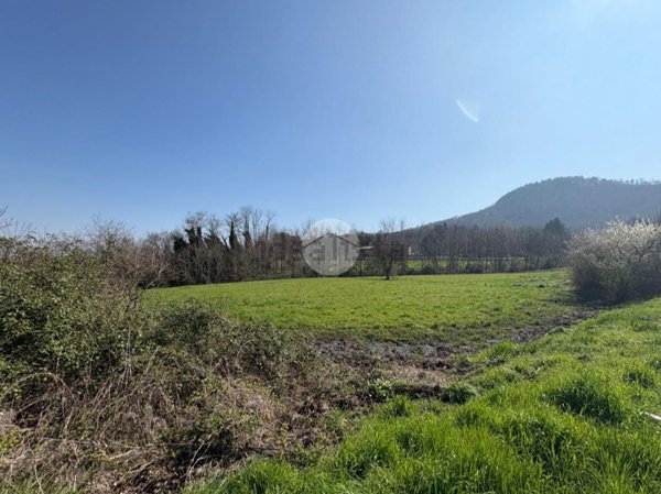 terreno agricolo in vendita a Torreglia