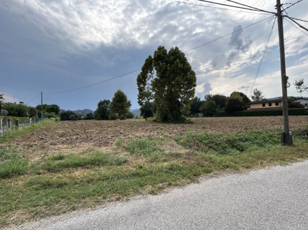 azienda agricola in vendita a Torreglia