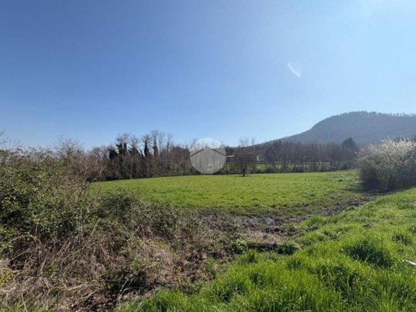 terreno agricolo in vendita a Torreglia