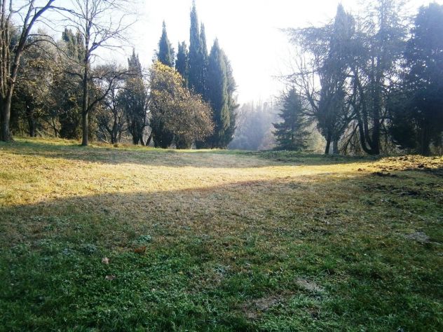 negozio in vendita a Torreglia