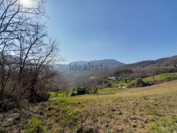 appartamento in vendita a Torreglia