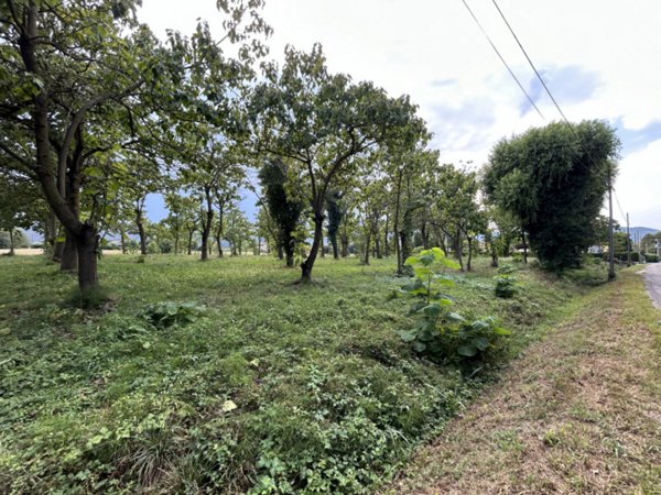 terreno agricolo in vendita a Torreglia in zona San Daniele