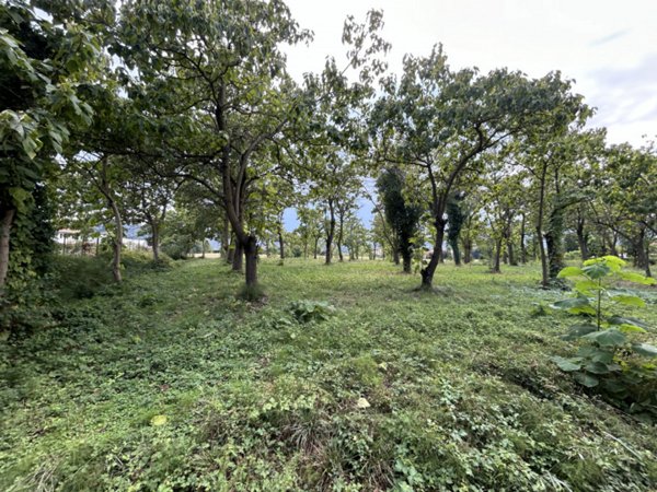 terreno agricolo in vendita a Torreglia in zona San Daniele