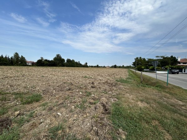 azienda agricola in vendita a Torreglia