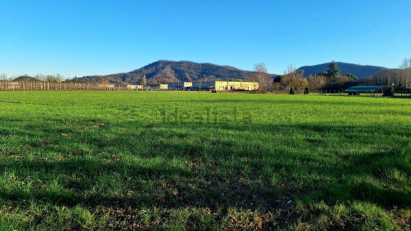 terreno agricolo in vendita a Torreglia