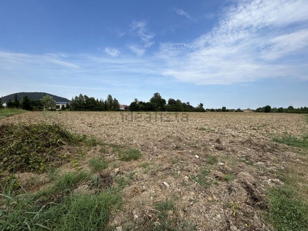 terreno agricolo in vendita a Torreglia