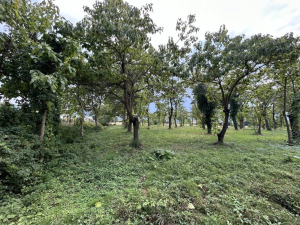 terreno agricolo in vendita a Torreglia