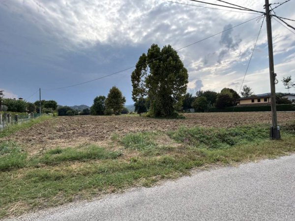 terreno agricolo in vendita a Torreglia