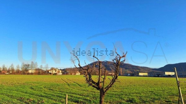 terreno agricolo in vendita a Torreglia in zona San Daniele