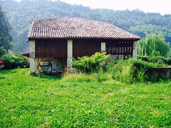 esavano in vendita a Torreglia in zona Luvigliano