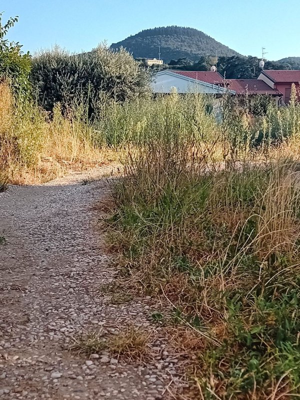 terreno edificabile in vendita a Torreglia in zona Luvigliano