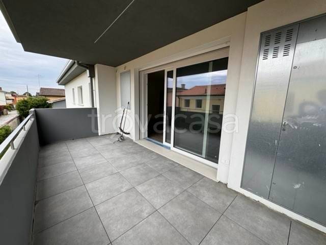 appartamento in vendita a Trebaseleghe