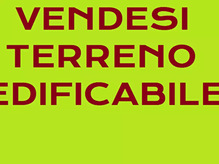 casa indipendente in vendita a Trebaseleghe
