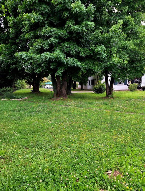 casale in vendita a Trebaseleghe